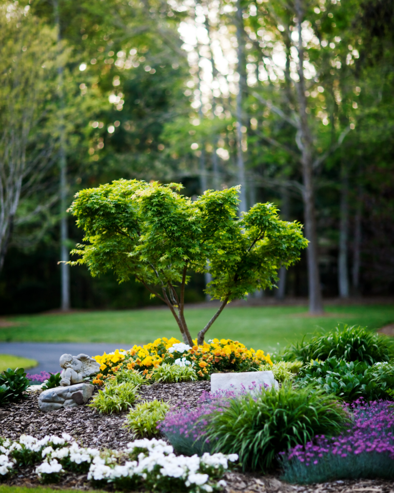 How to Prepare Your Yard for a Summer Sale: Curb Appeal Tips for Griffin, GA Homeowners